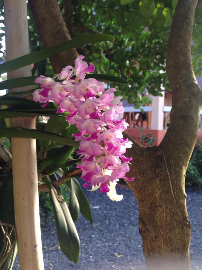 Chuanchom Resort Phatthalung Exterior foto